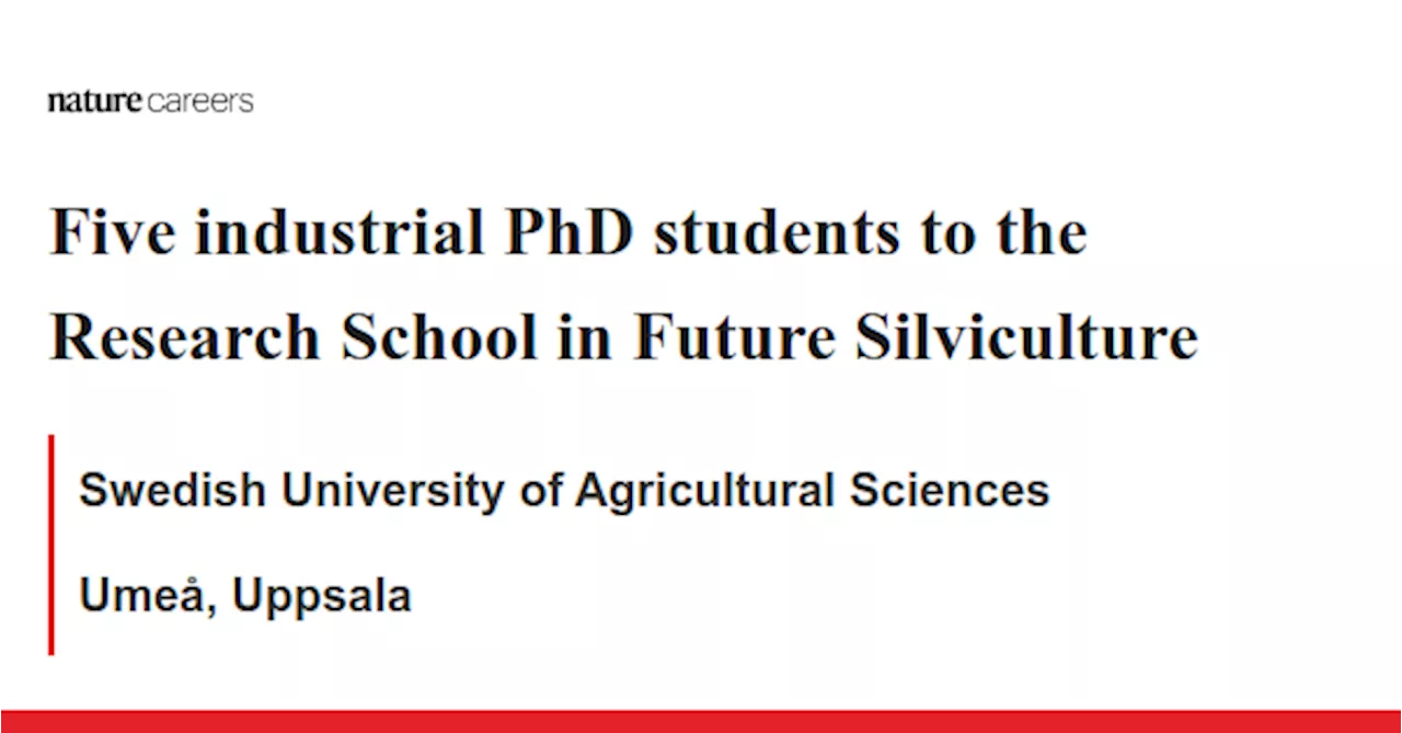 Five industrial PhD students to the Research School in Future Silviculture - Umeå, Uppsala job with Swedish University of Agricultural Sciences