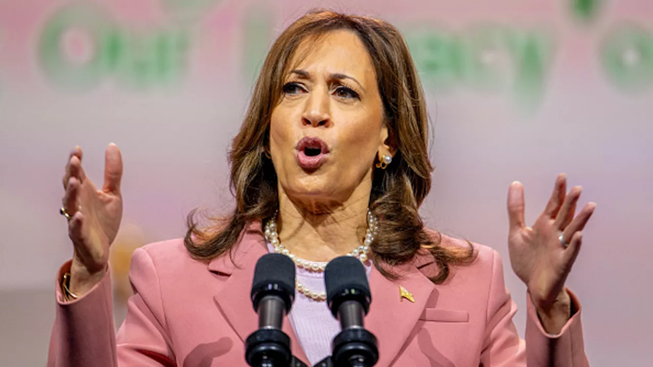 Amid Democratic panic, Kamala dodges Biden rumors at Dallas sorority bash