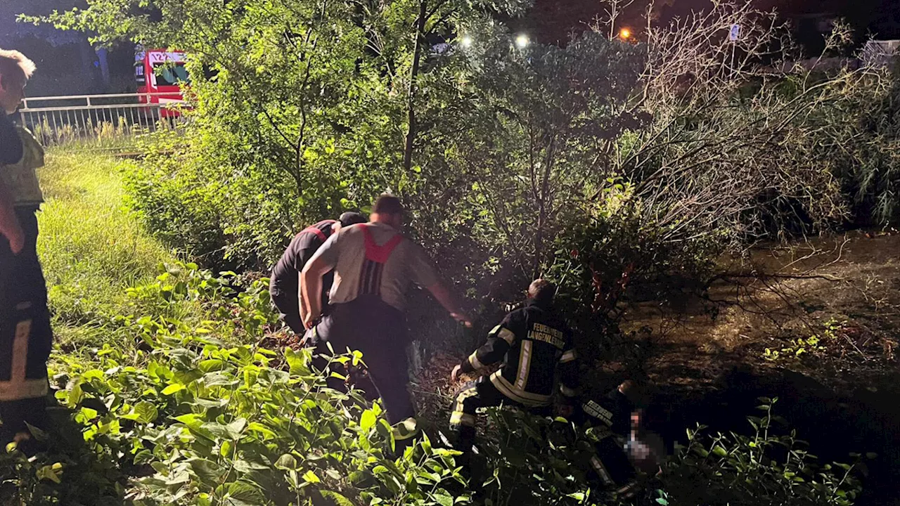 Feuerwehr rettet Spaziergänger aus der Langenlebarner Dorflacke