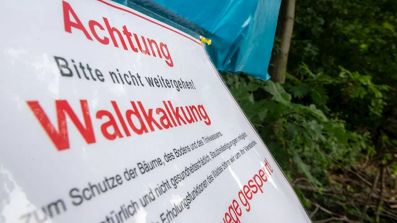 Sachsen: Gegen saure Böden: Wald in Sachsen wird wieder gekalkt