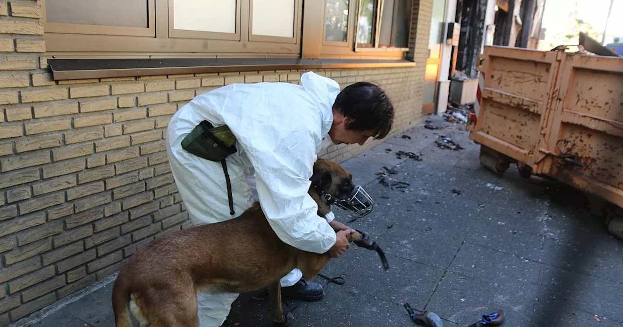 Nach Bar-Explosion in Herford: Wie ein Brandspürhund Beweise erschnüffelt