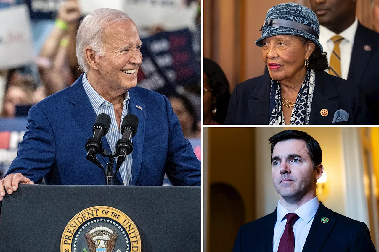 Congressional Democrats still quiet ahead of Biden's press conference