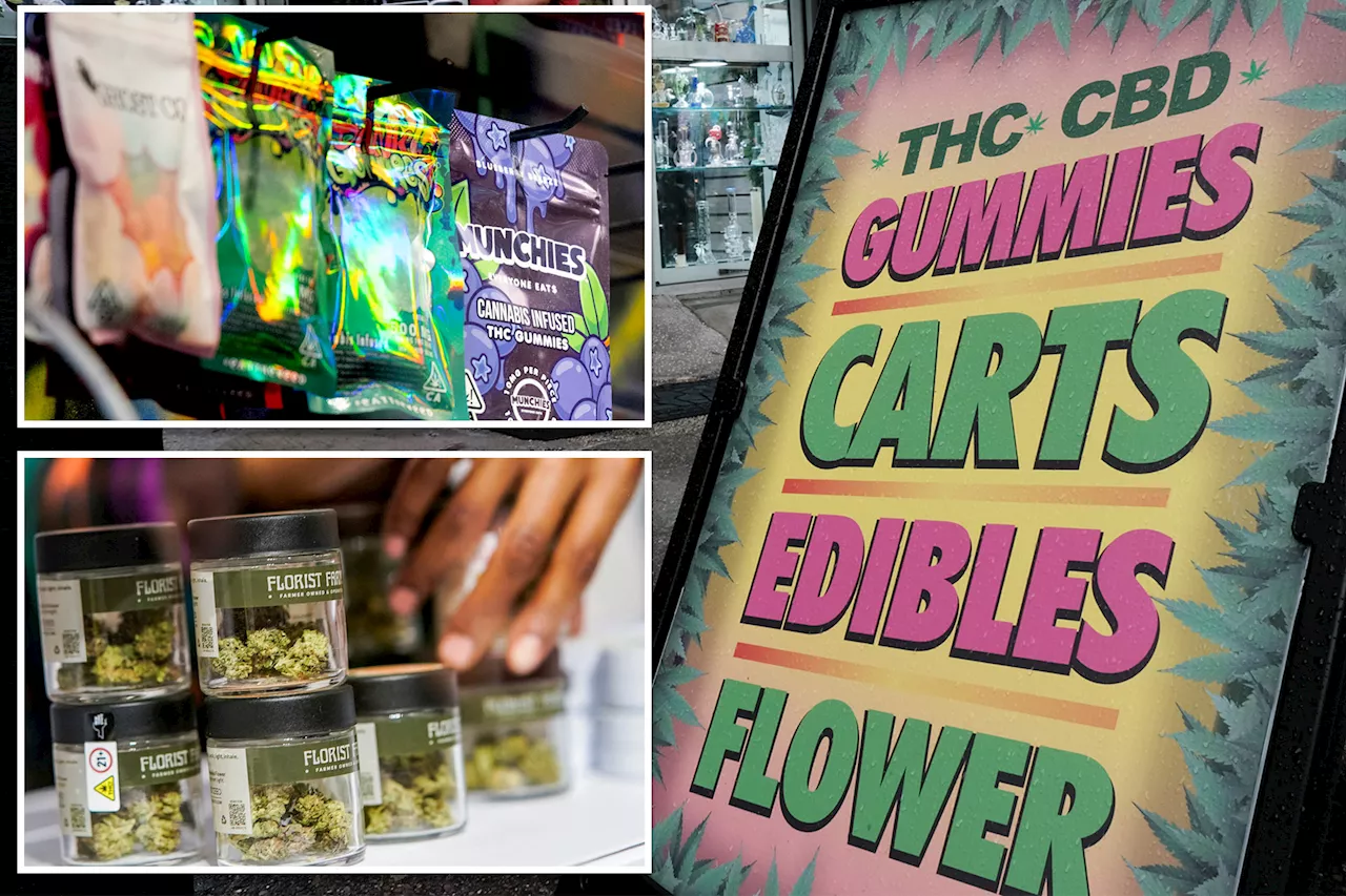 New York cannabis shops can offer discounts on pot to students, seniors and vets under new proposal