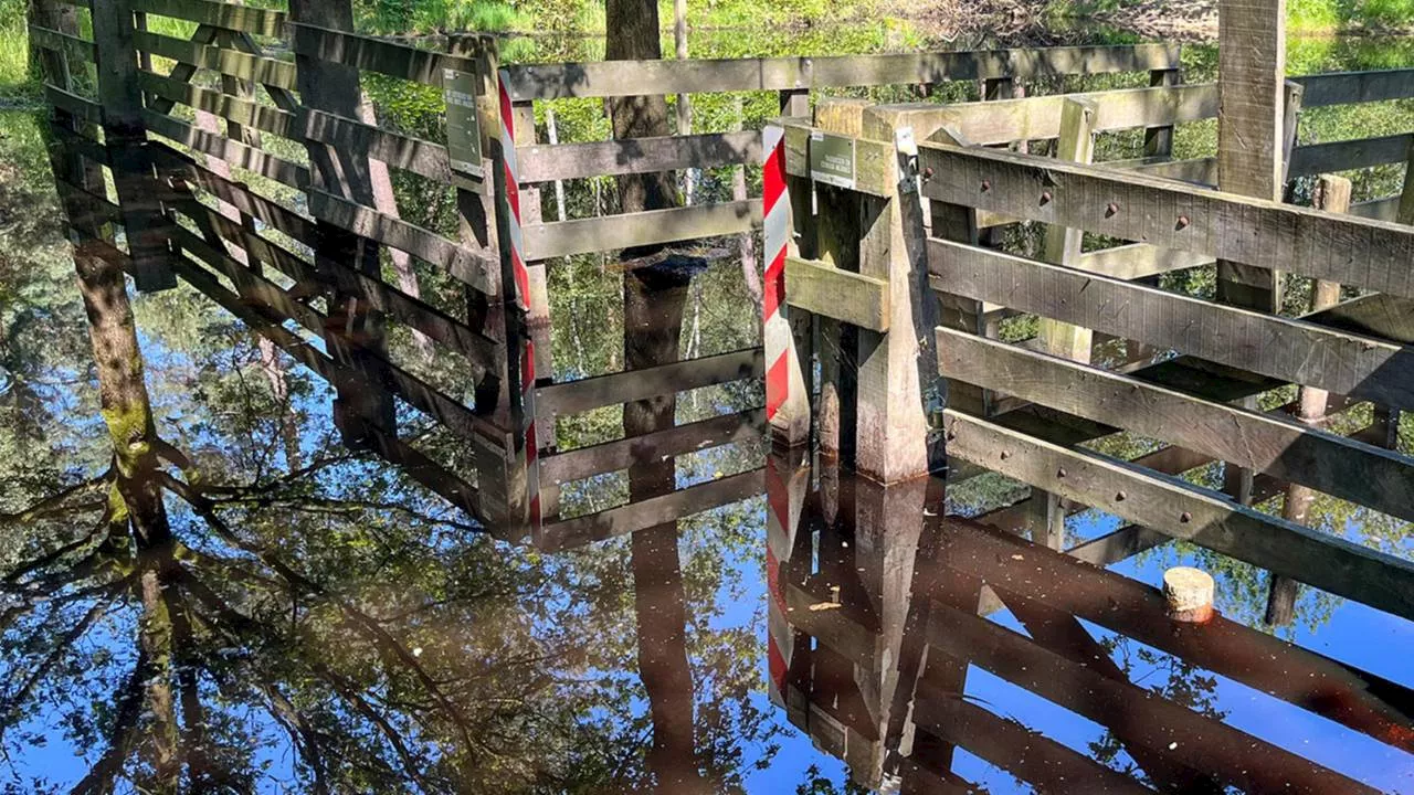 Fietspad al maanden onder water door vele regen: 'Trek laarzen aan'