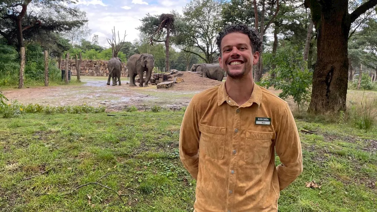 Rick ontwierp nieuw olifantenverblijf Beekse Bergen: 'Afrika in Brabant'