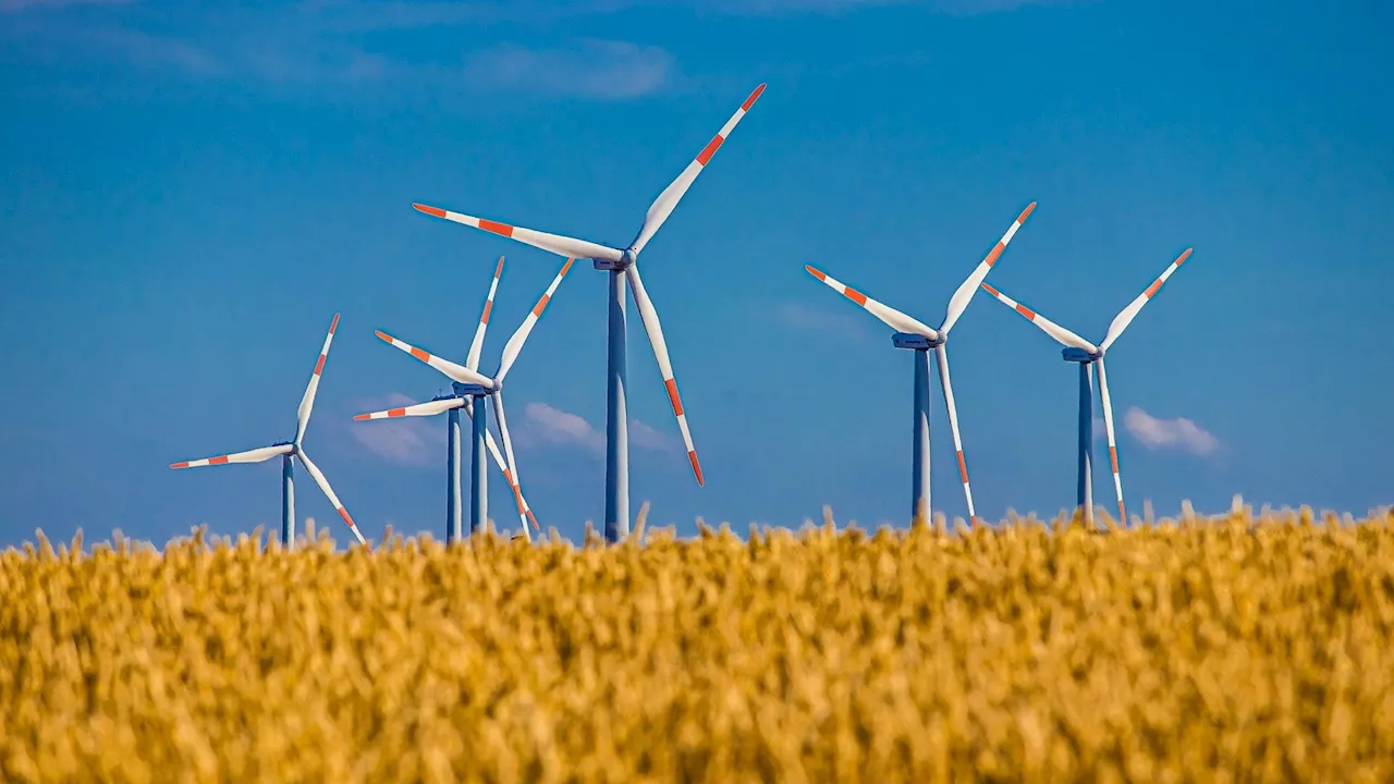 Illinois clean energy transition excludes key constituents in energy justice equation, study argues