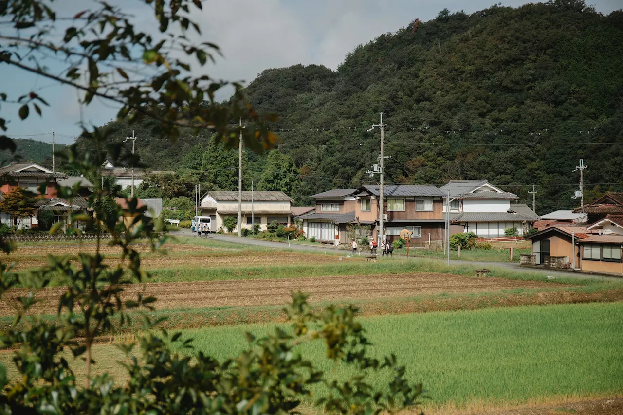 間伐や収穫、数々のミッションをクリアして、山賊王を目指せ！RPG型ランイベント「山賊ワイルドラン&炎の宴 in 丹波篠山」9月28日（土）・29日（日）開催。エントリー受付開始。