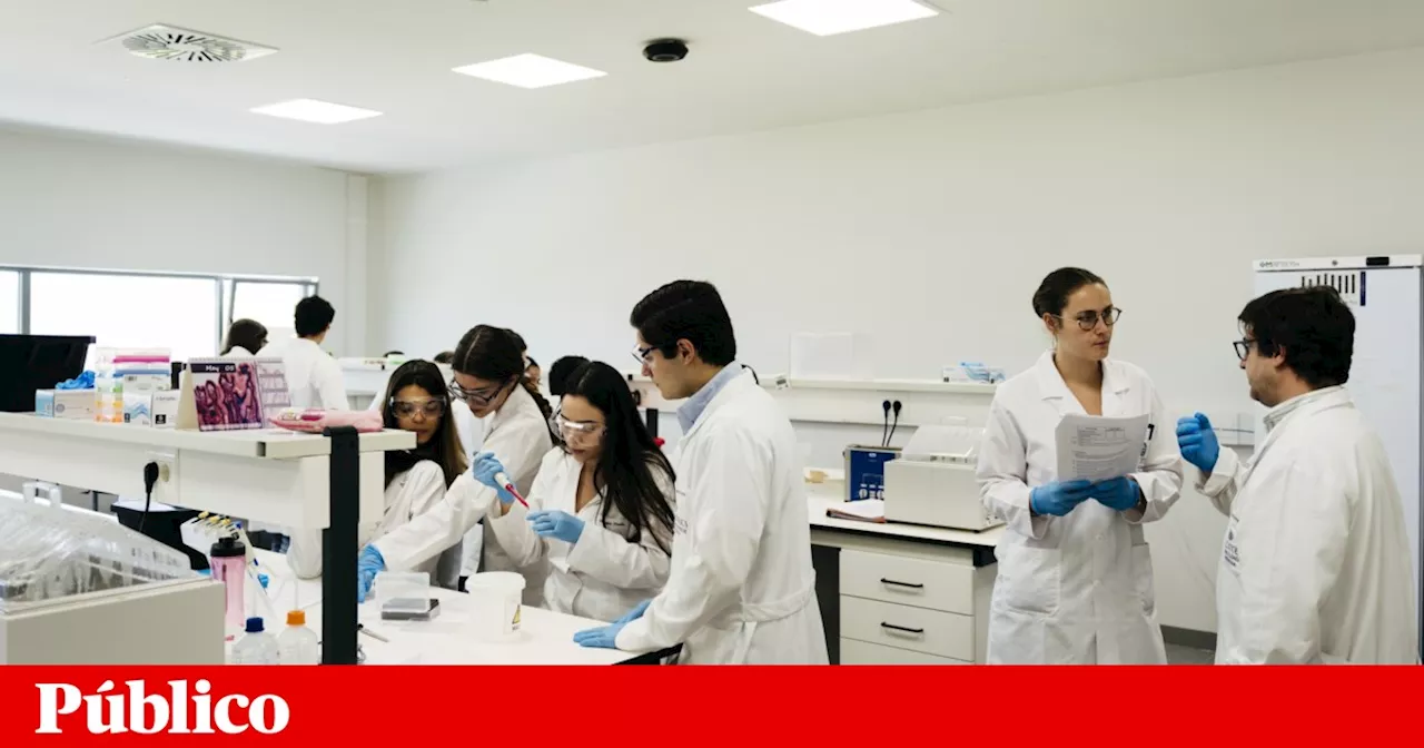 Ensino superior dá aos jovens mais oportunidades de trabalho e melhores salários