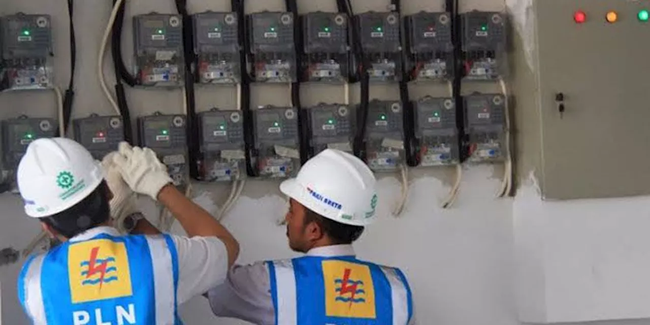 PLN Minta Suntikan PMN Rp3 Triliun di 2025 Untuk Ini