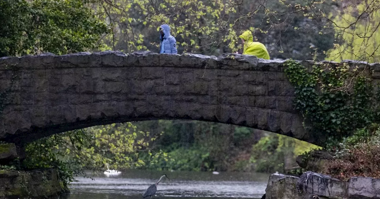 Met Eireann gives promising weekend forecast before rain returns