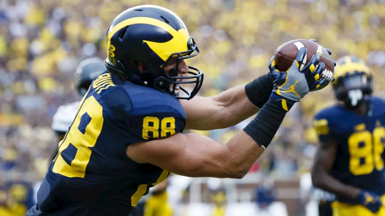 Ranking The Top 5 Michigan Football Tight Ends From The Jim Harbaugh Harbaugh Era