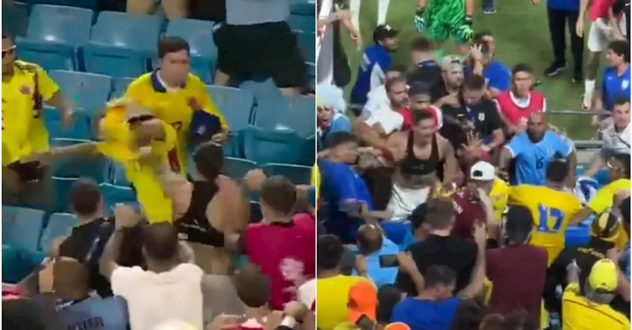 Scène hallucinante en Copa America : Darwin Núñez se bat en tribunes avec des supporters colombiens, « nos