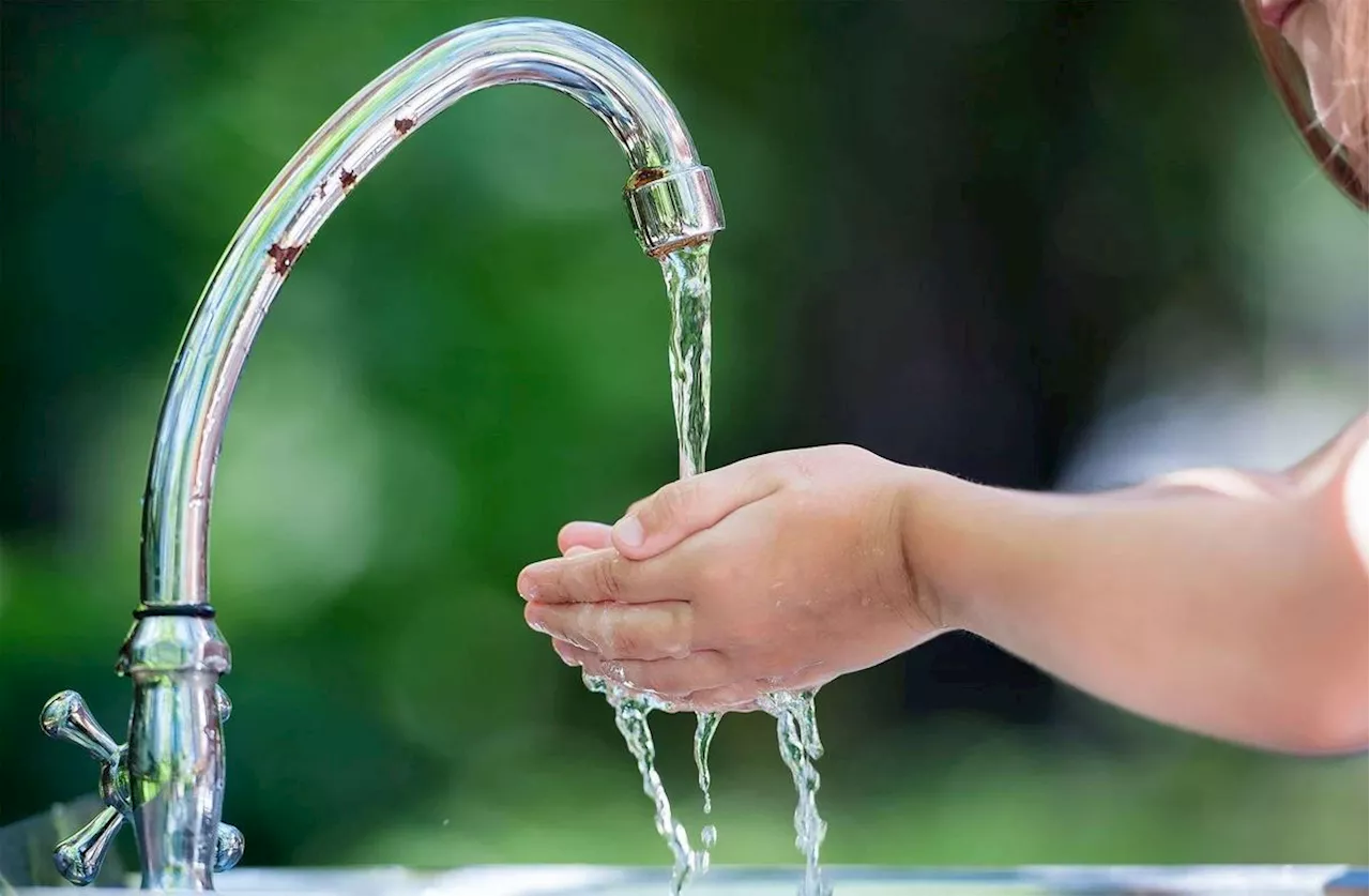 L’eau potable européenne contaminée par le TFA, un « polluant éternel »