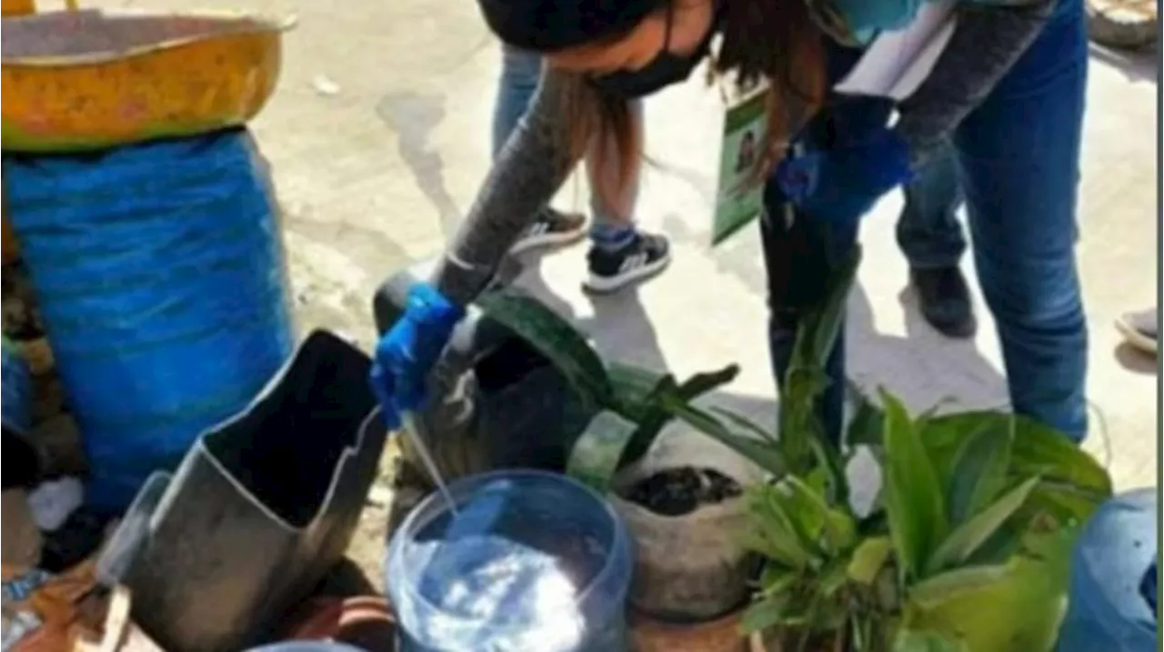 Barangay TFs gimugna kontra dengue sa Tagum