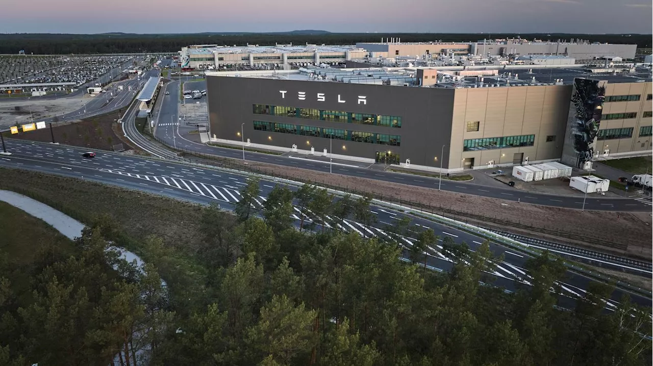 Geschirrdiebe in Grünheide: 65.000 Tassen aus Brandenburger Tesla-Werk verschwunden