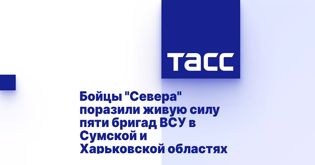 Бойцы 'Севера' поразили живую силу пяти бригад ВСУ в Сумской и Харьковской областях