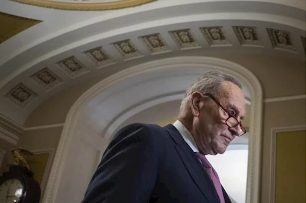 Biden, Nyt: il senatore Chuck Schumer privatamente favorevole al ritiro