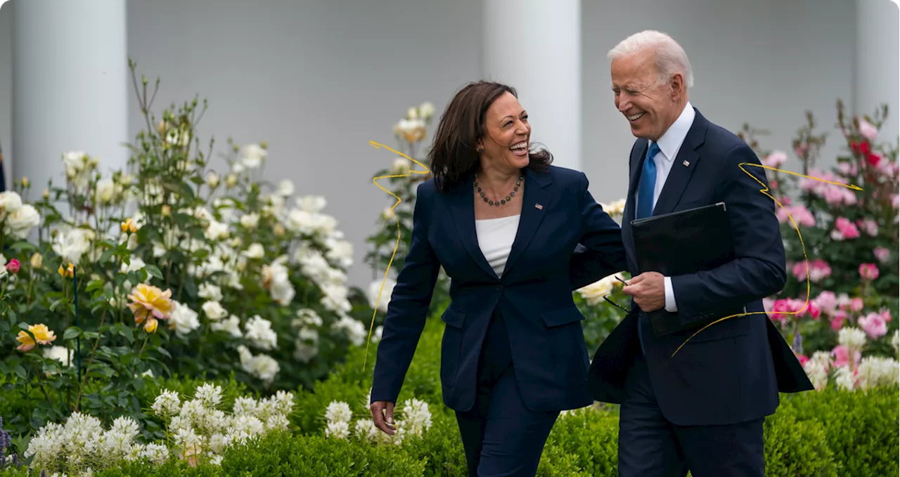 Kamala Harris supera Donald Trump em pesquisa de intenção de votos para presidência dos EUA