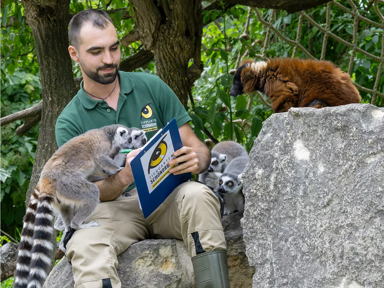 Tierische Inventur: 6.860 'Bewohner' im Tiergarten Schönbrunn