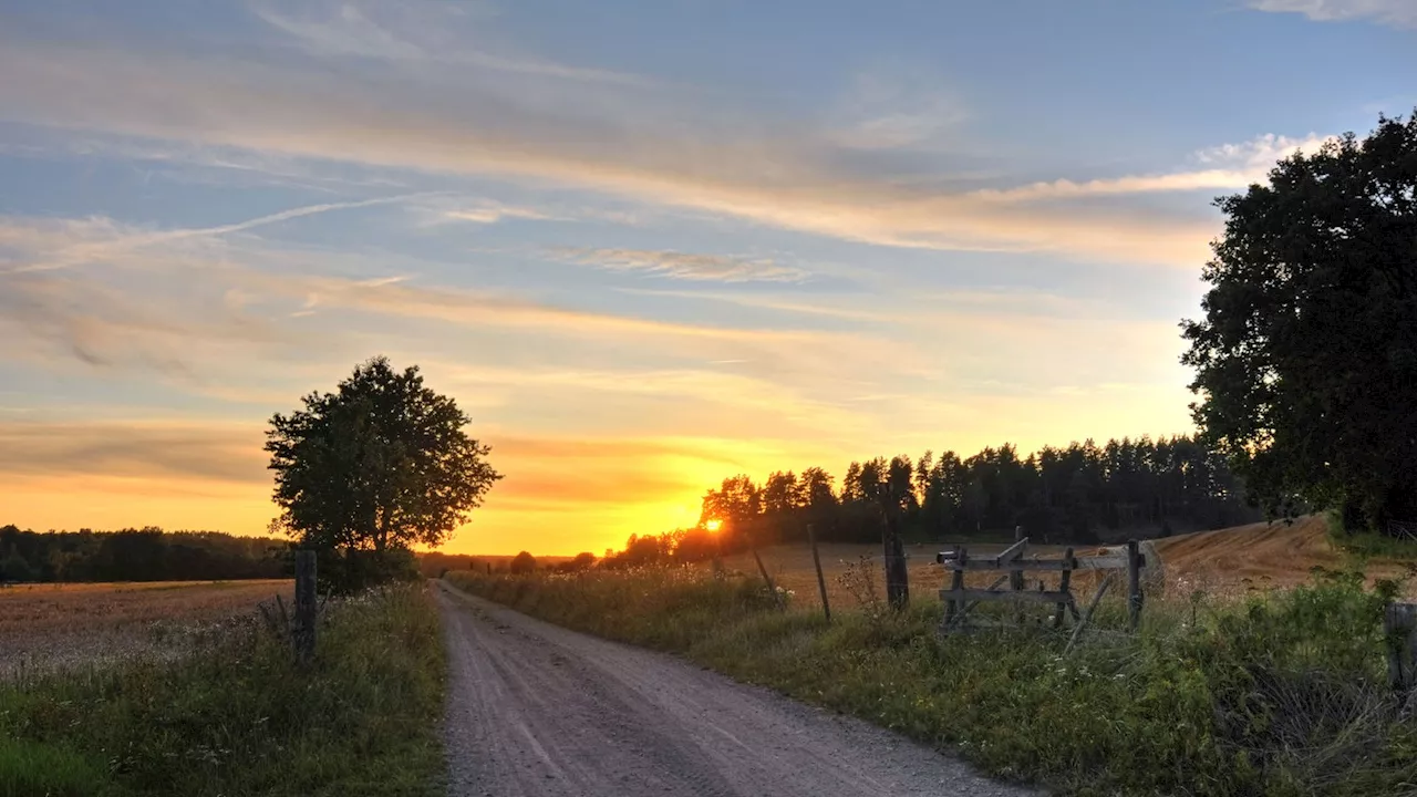 Hagener fährt angetrunken in Feld - Polizei findet verdächtigen Gegenstand