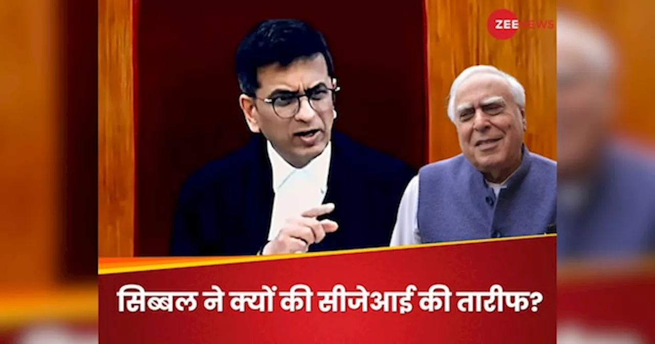 CJI DY Chandrachud: सीजेआई चंद्रचूड़ ने सुप्रीम कोर्ट में ऐसा क्या किया, कपिल सिब्बल बोल पड़े- बड़ी जल्दी में रहते हैं!