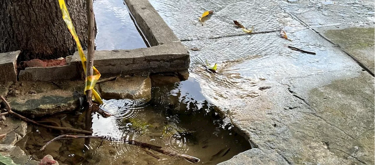 Fuga de agua en Los Andes, más de 20 días y no hay solución