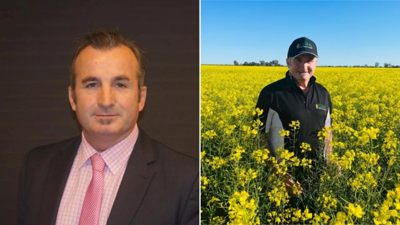 San Francisco Police say there is no evidence Grain Producers Australia CEO Colin Bettles was assaulted