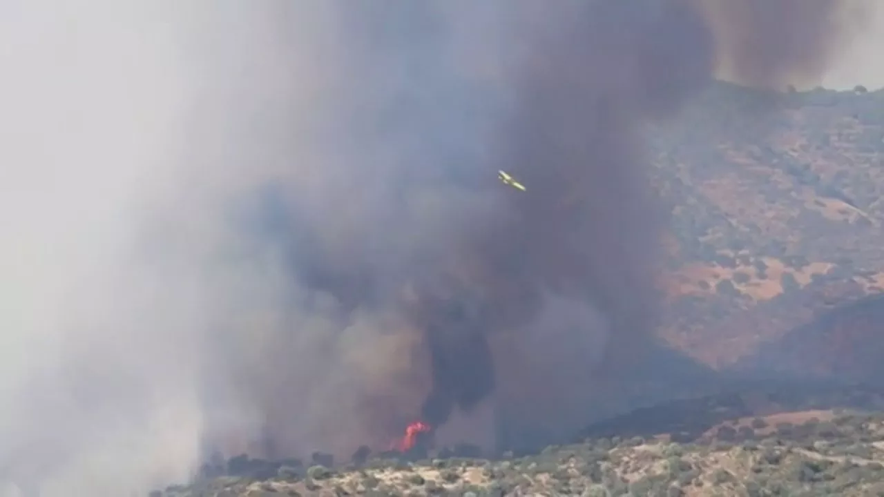 Peligroso incendio forestal en la base militar de Cerro Muriano por posible munición sin explotar