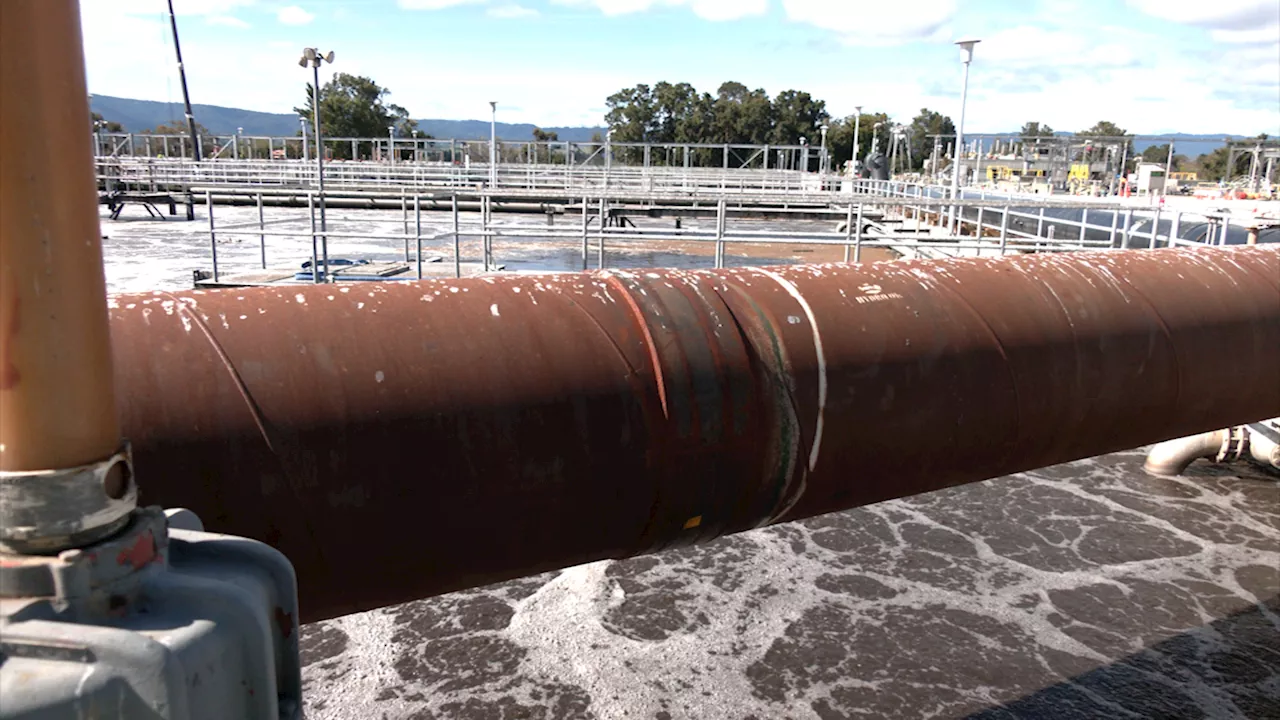 New wastewater regulations will upgrade Bay Area treatment plants, help battle algae blooms