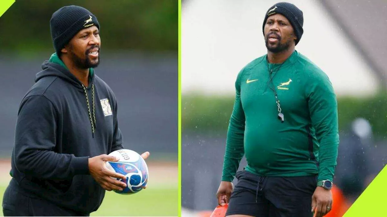 Assistant Coach Mzwandile Stick Says the Boks Are Preparing Themselves for Irish Pride