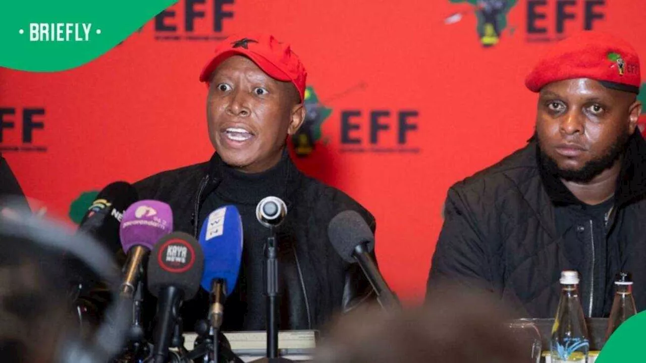 EFF's Julius Malema and Floyd Shivambu implicated in VBS Mutual Bank affidavit, SA reacts