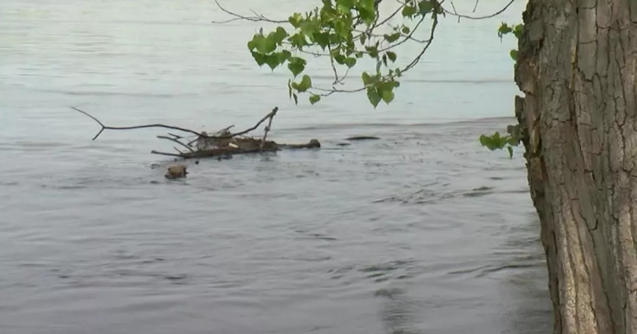 Wisconsin Gov. Evers declares state of emergency for 4 flooded counties