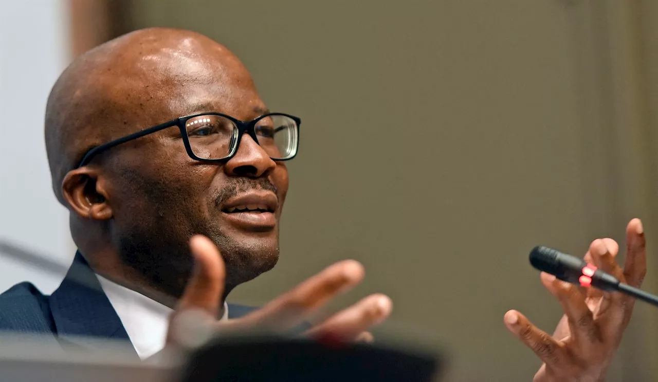 Former Treasury DG Mogajane denies bribery allegations by ex-VBS chairperson