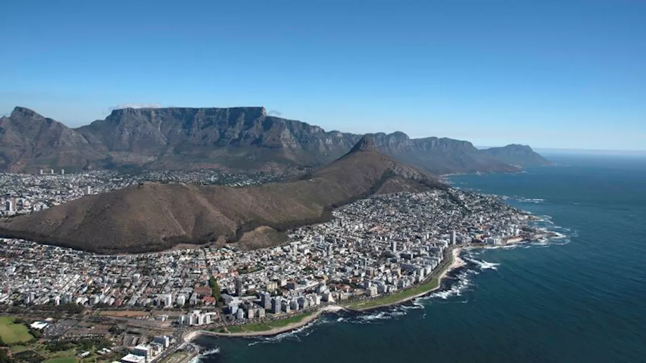 Dead seals on Cape Town beaches raise fears about widening rabies outbreak