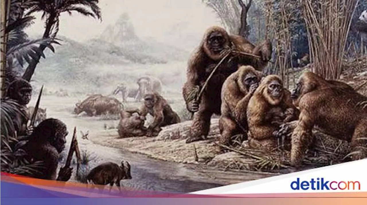 Ini Kera Terbesar yang Pernah Hidup di Bumi, Tingginya Mencapai 3 Meter