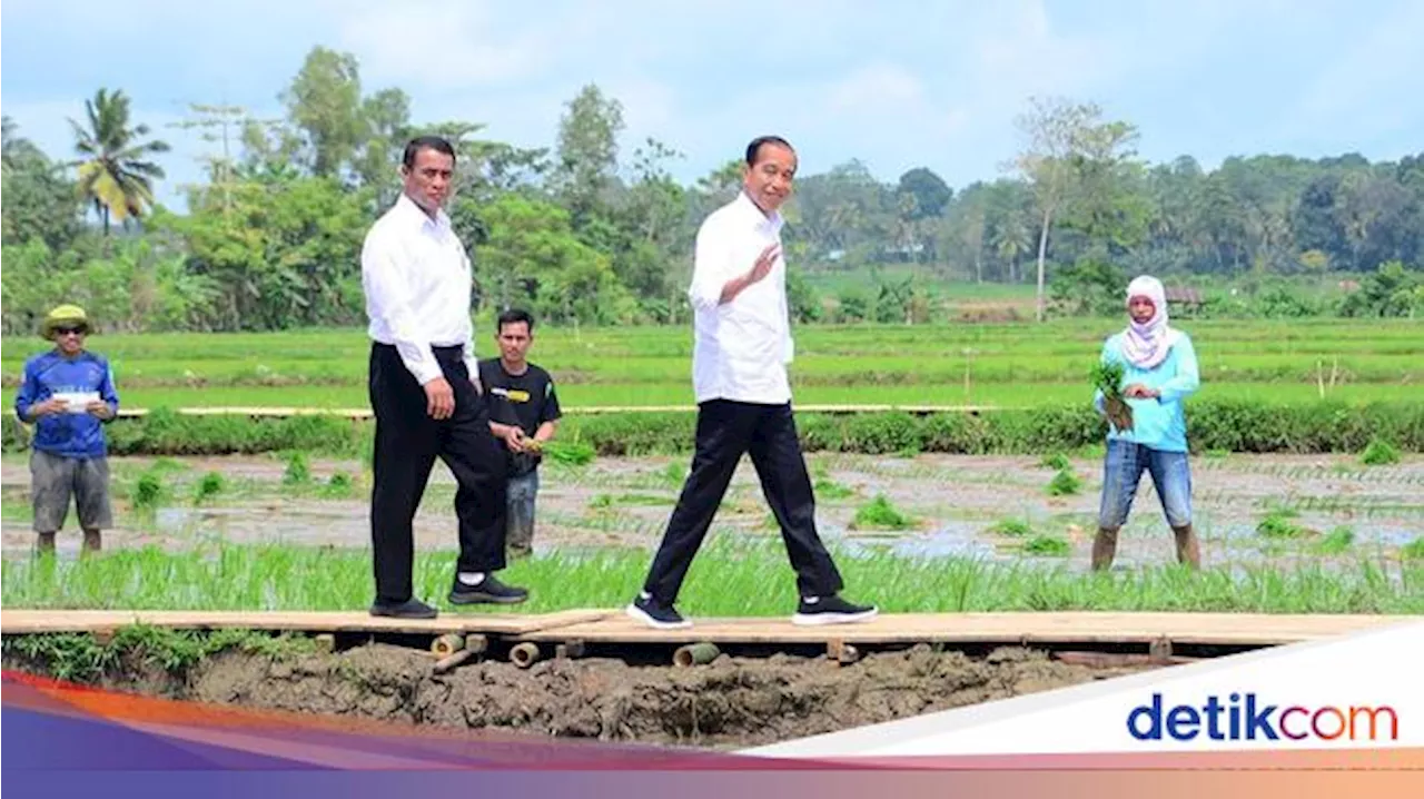 Titah Jokowi ke Mentan Genjot Produksi Kopi