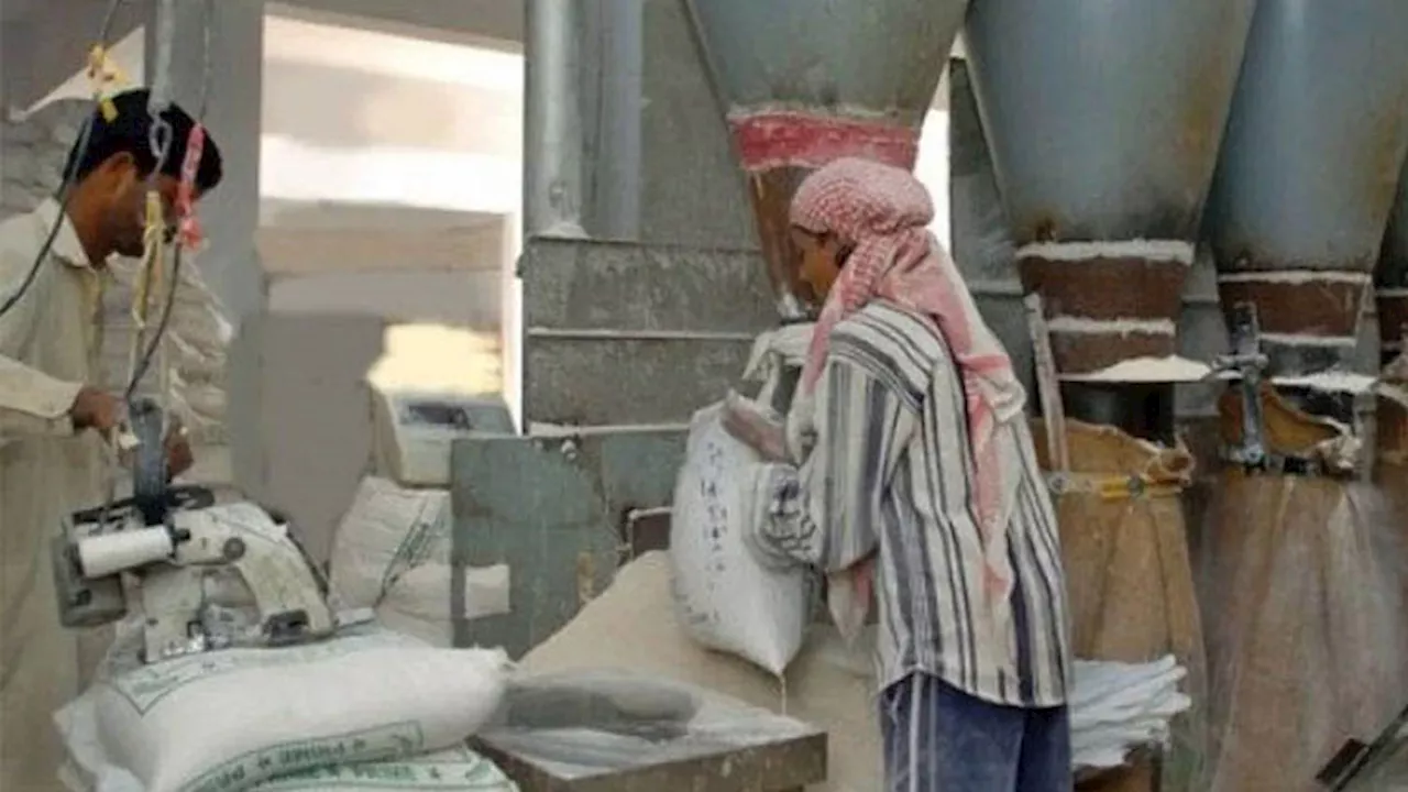 Food crisis looms large as flour millers strike enters 2nd day