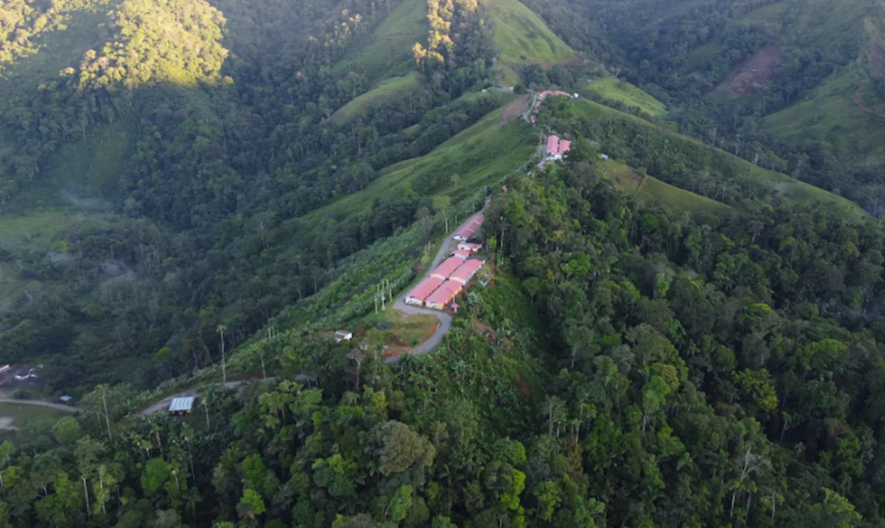 Proteger a firmantes de paz desplazados de Caquetá pide Procuraduría