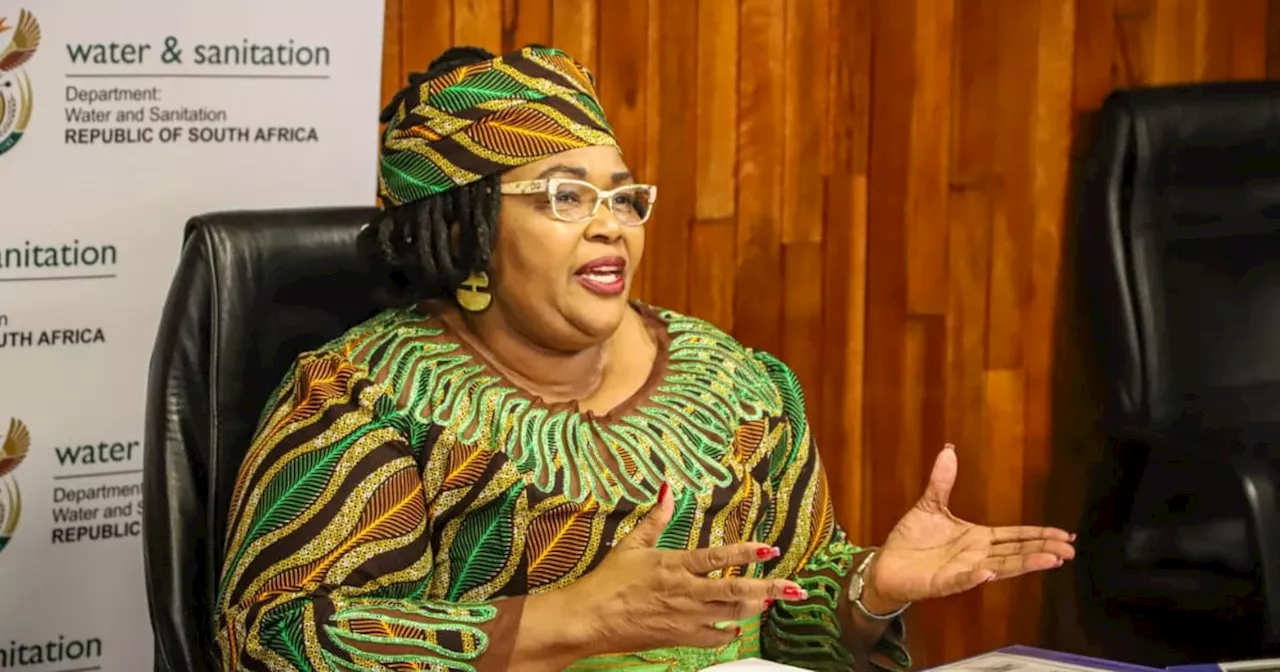 Municipalities not making it easy to eradicate pit toilets, Majodina tells MPs