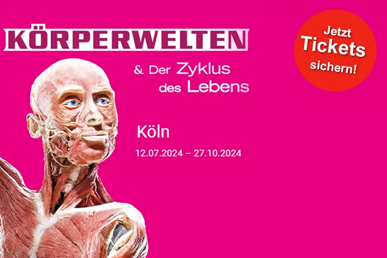 KÖRPERWELTEN & der Zyklus des Lebens: Jetzt Tickets für die Ausstellung in Köln sichern!