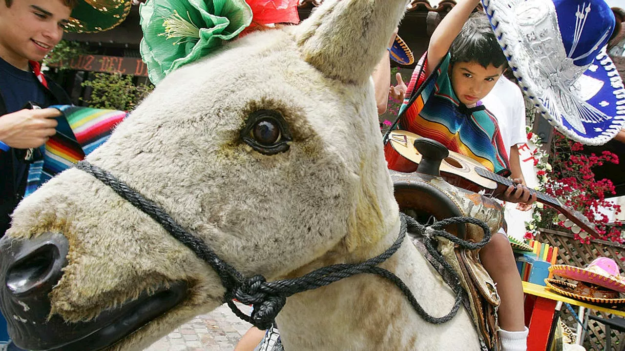 Olvera Street business home to famous 'El Burro' evicted