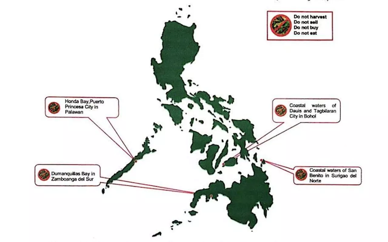 BFAR: Toxic red tide detected in parts of Bohol, 3 other areas