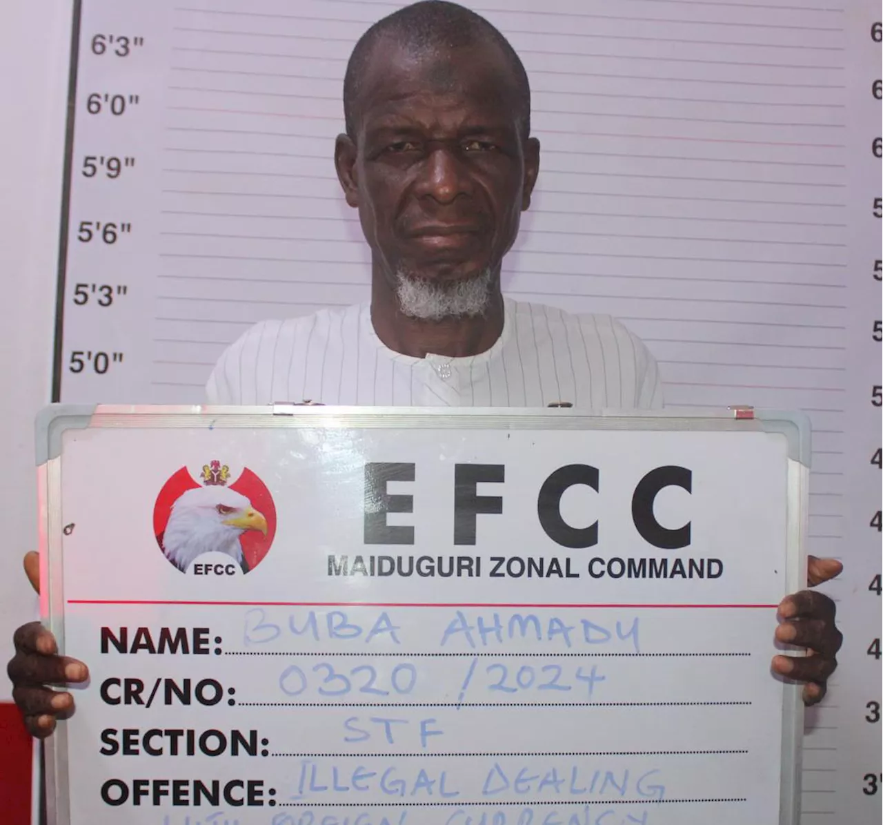 Court jails three illegal BDC operators in Maiduguri