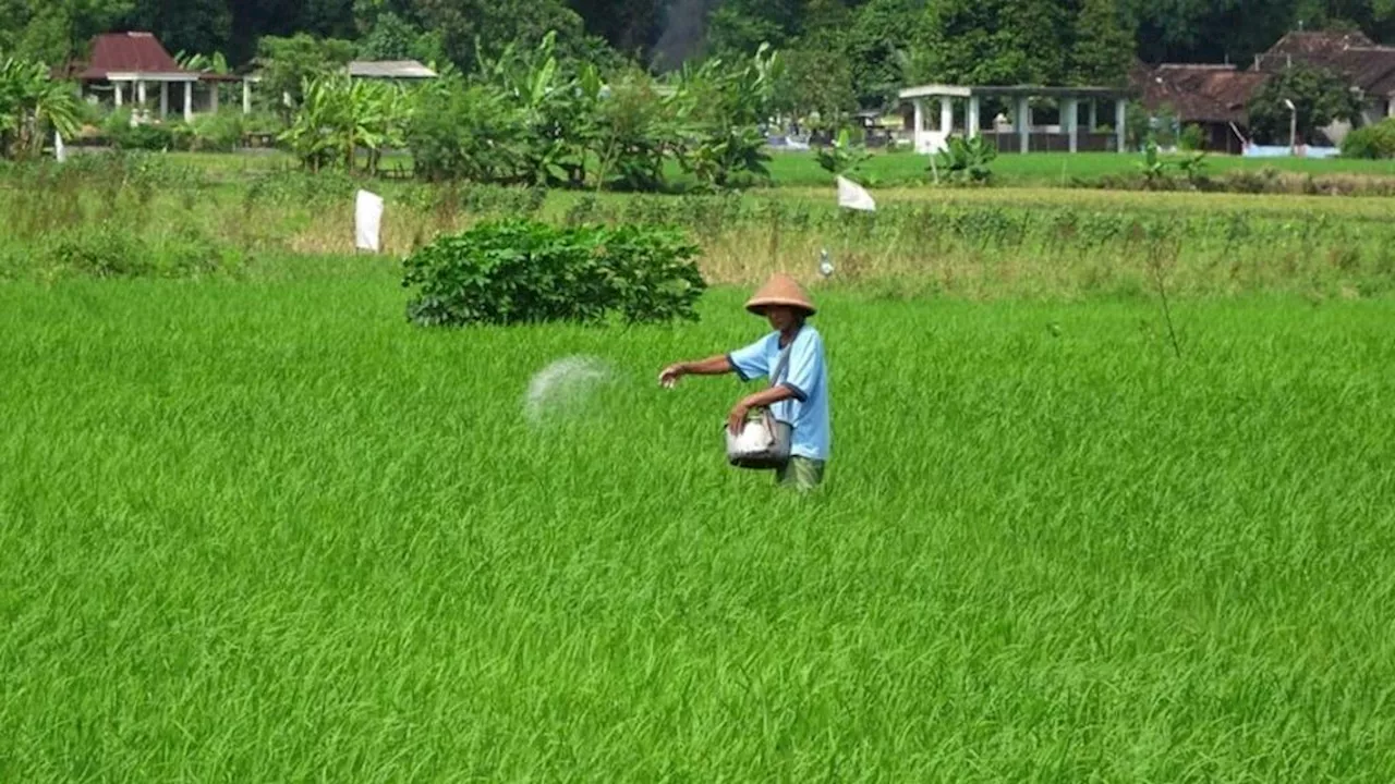 Menimbang Kembali Sejumlah Kebijakan Pupuk Subsidi