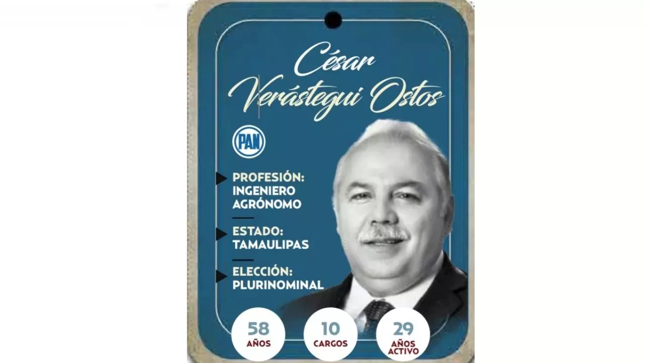 Partido Acción Nacional: ¿Quién Es Cesar Verástegui Ostos, Conoce Al ...