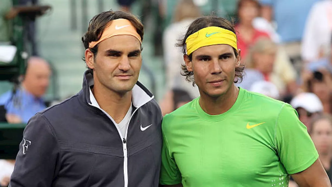 Game set, sting: Wasps named after tennis legends Rafael Nadal, Roger Federer