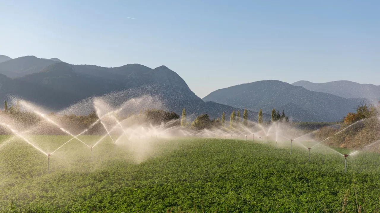 Turkish teens invent drought-defying farming device that cuts fertilizer use by 40%