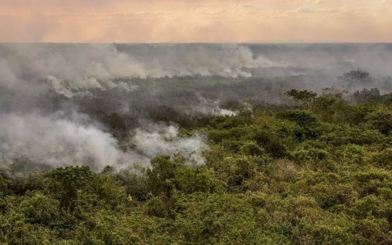 MP abre crédito extraordinário de R$ 137,638 milhões para combate a incêndios no Pantanal