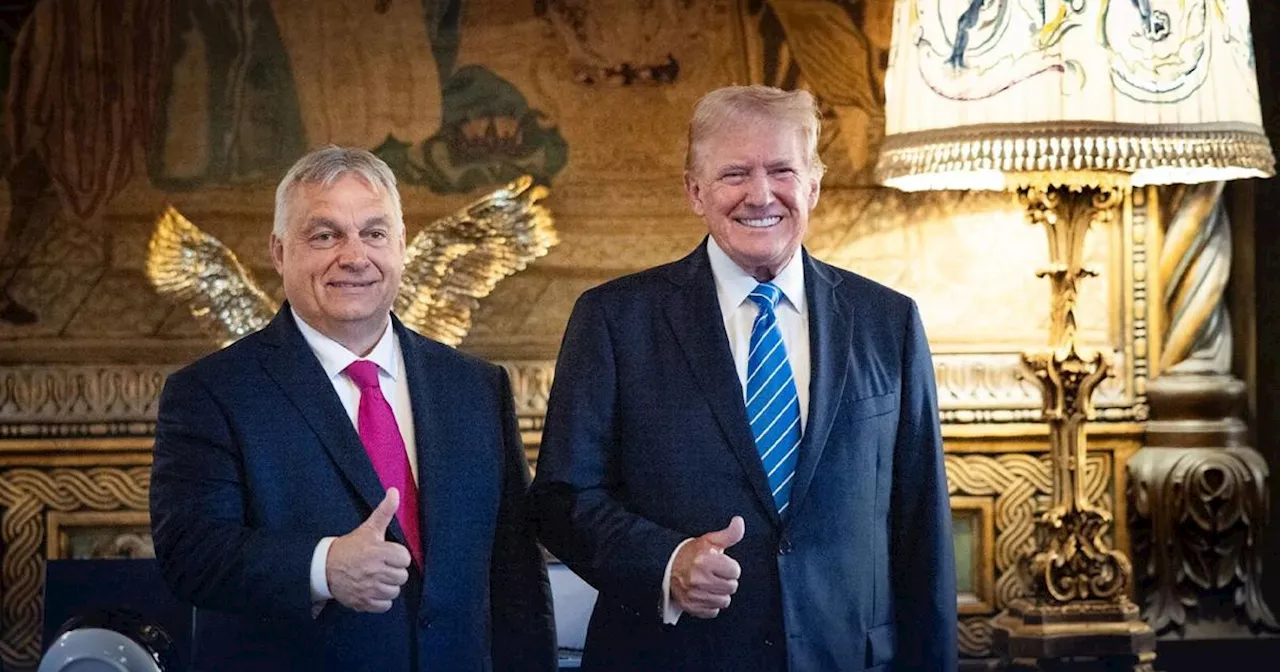 Orbáns 'Friedensmission 5.0': Besuch bei Trump in Mar-a-Lago