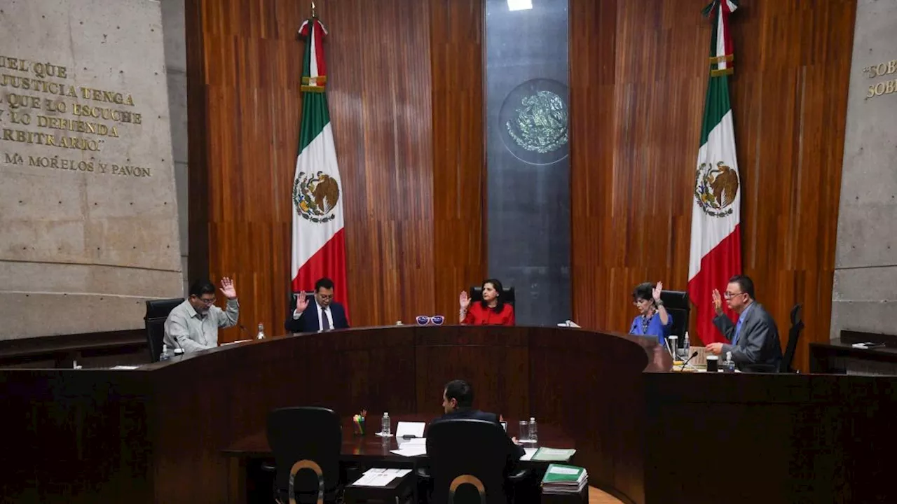 AMLO coaccionó el voto en favor de Morena, determina la Sala Especializada del TEPJF